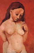 nude against a red backgroumd pablo picasso